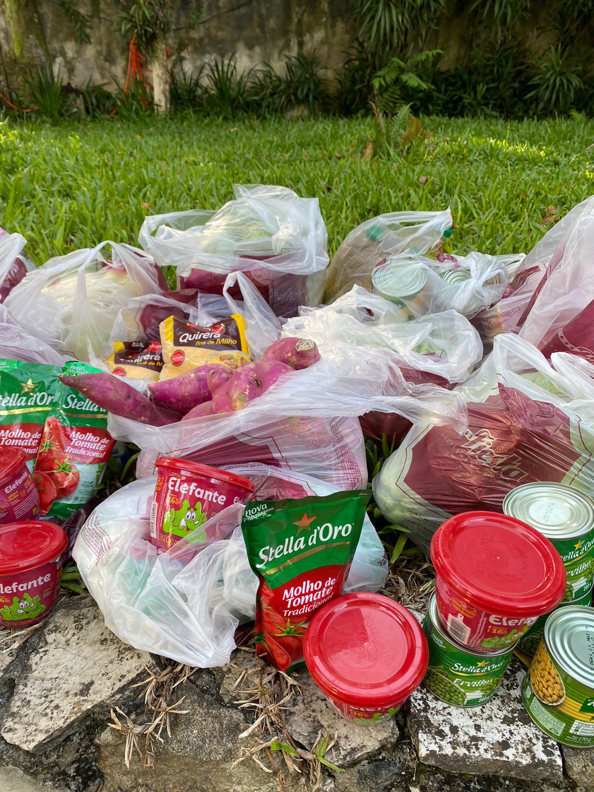 DS Curitiba realiza entrega de alimentos para o projeto Marmita Solidária